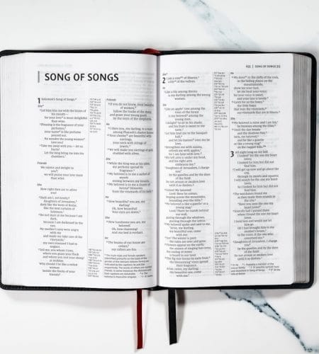 Keunggulan Tipe Router Tenda